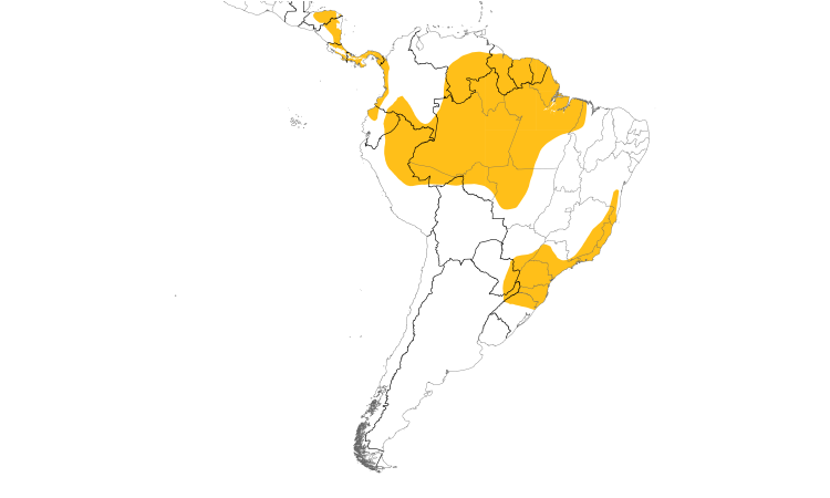 Range Map (South): Black-throated Trogon