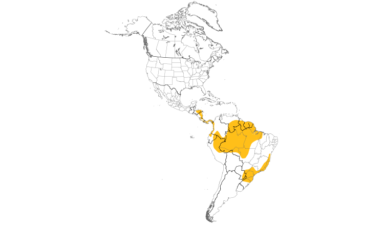 Range Map (Americas): Black-throated Trogon