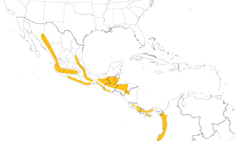 Range Map (Central): White-throated Thrush
