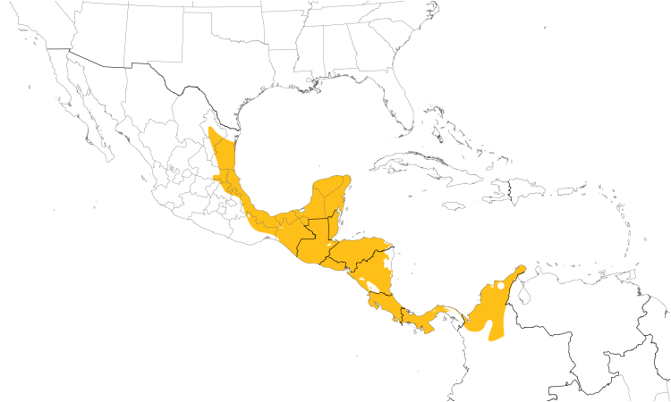 Range Map (Central): Clay-colored Thrush