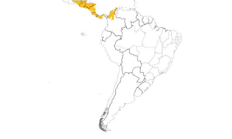 Range Map (South): Clay-colored Thrush