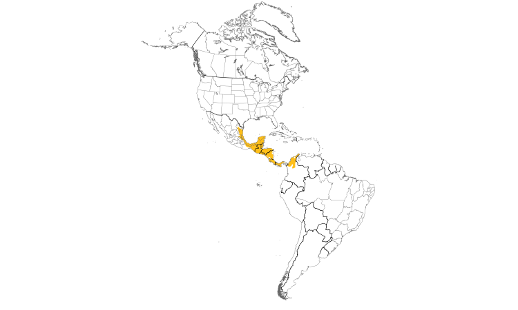 Range Map (Americas): Clay-colored Thrush