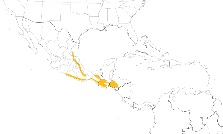 Range Map (Central): Black Thrush