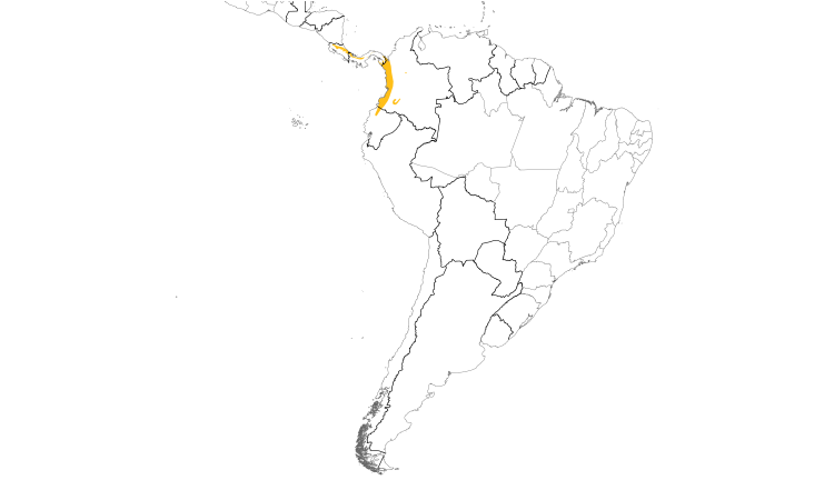 Range Map (South): Pale-vented Thrush