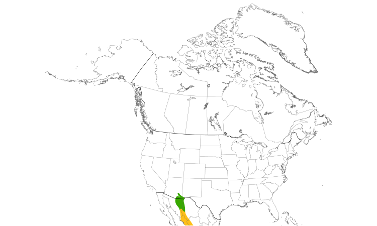 Range Map (North): Thick-billed Kingbird