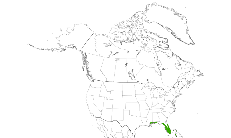 Range Map (North): Gray Kingbird