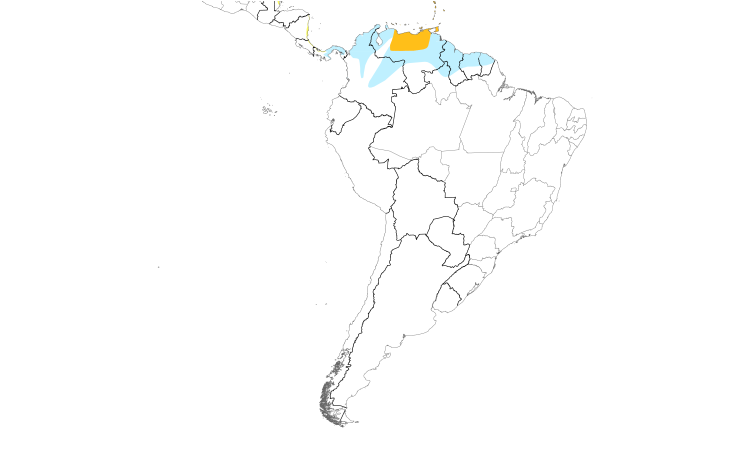 Range Map (South): Gray Kingbird