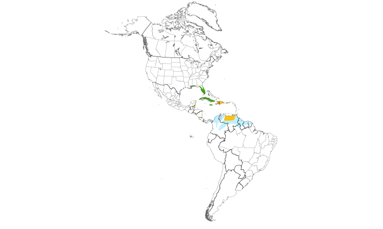 Range Map (Americas): Gray Kingbird
