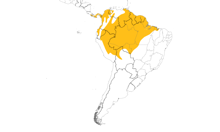 Range Map (South): Yellow-crowned Tyrannulet