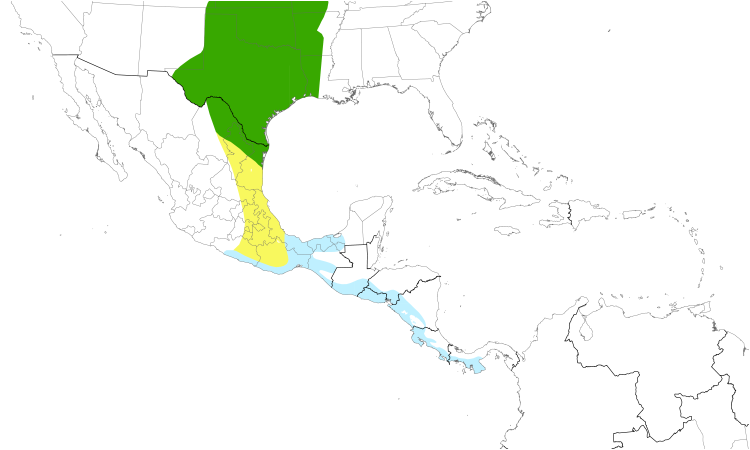 Range Map (Central): Scissor-tailed Flycatcher