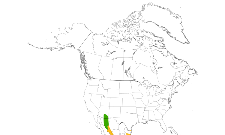 Range Map (North): Tropical Kingbird