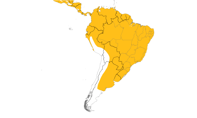 Range Map (South): Tropical Kingbird