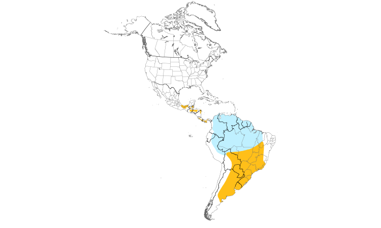 Range Map (Americas): Fork-tailed Flycatcher