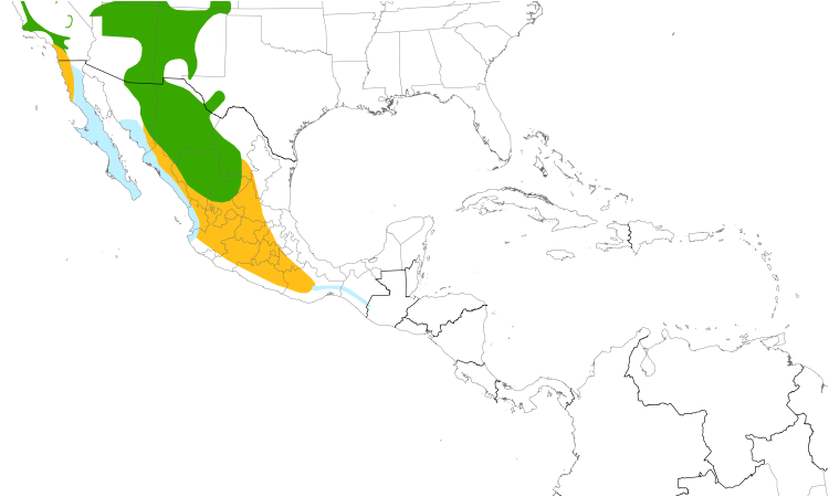Range Map (Central): Cassin's Kingbird