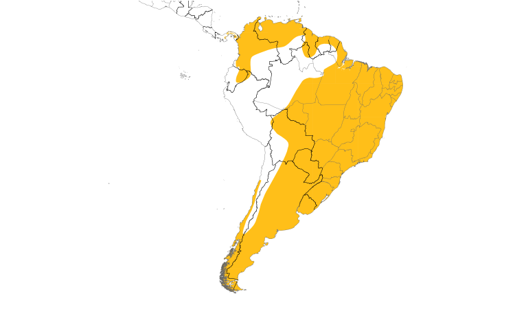 Range Map (South): Southern Lapwing
