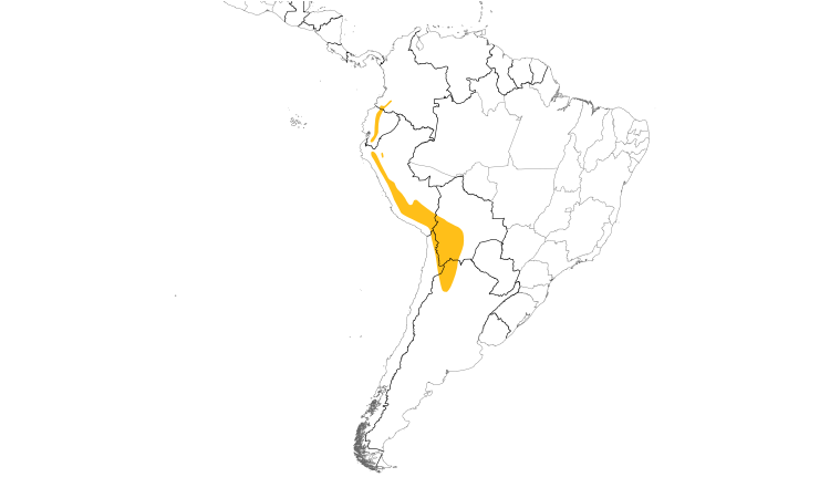 Range Map (South): Andean Lapwing