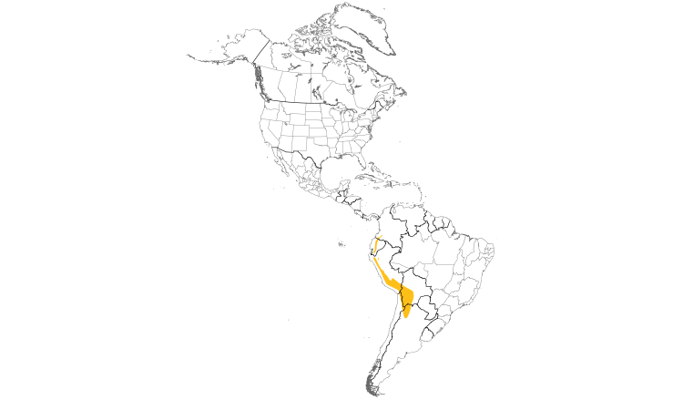 Range Map (Americas): Andean Lapwing
