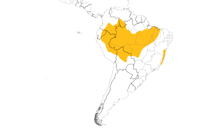 Range Map (South): Red-stained Woodpecker