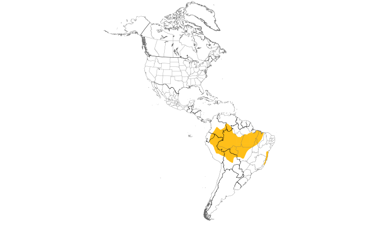 Range Map (Americas): Red-stained Woodpecker