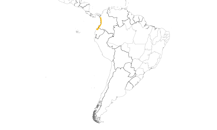 Range Map (South): Choco Woodpecker