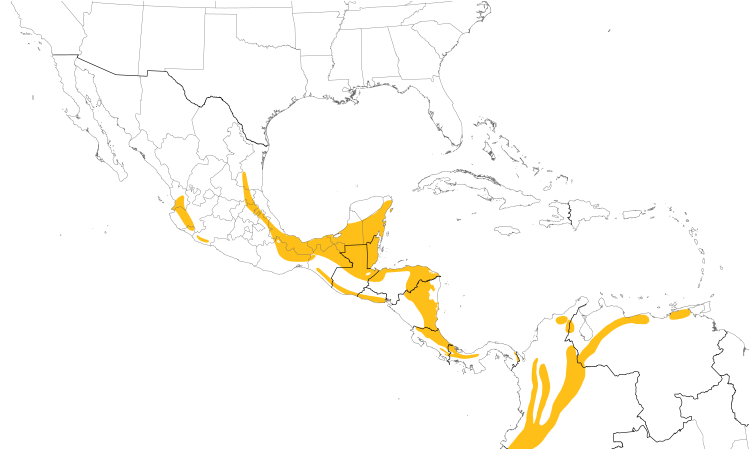 Range Map (Central): Smoky-brown Woodpecker