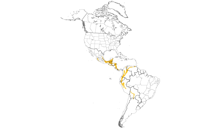 Range Map (Americas): Smoky-brown Woodpecker