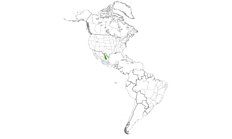Range Map (Americas): Colima Warbler