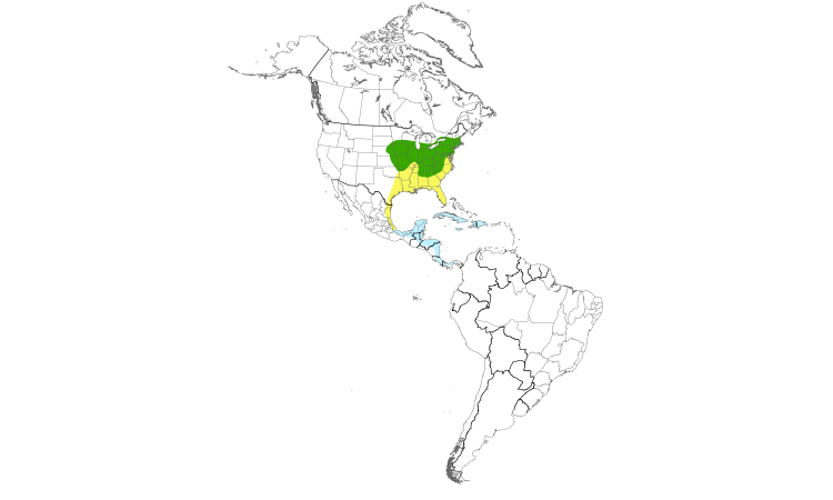 Range Map (Americas): Blue-winged Warbler