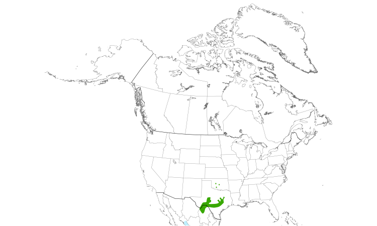 Range Map (North): Black-capped Vireo