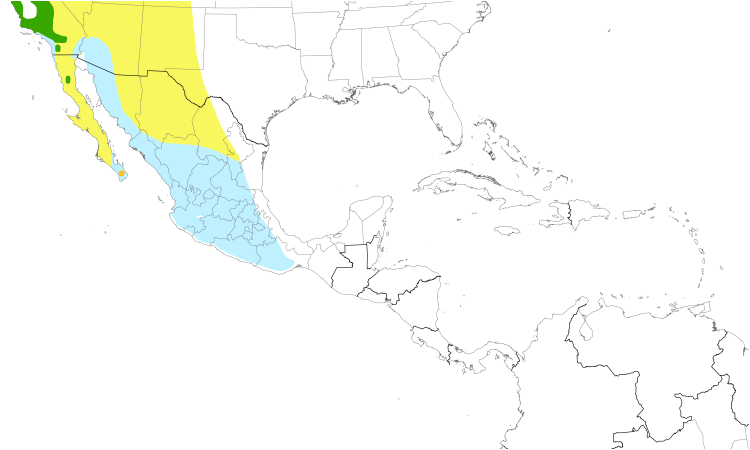 Range Map (Central): Cassin's Vireo