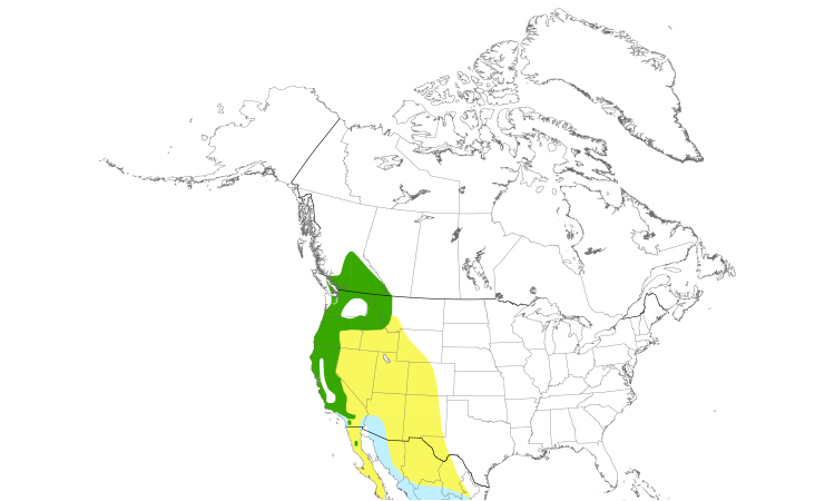 Range Map (North): Cassin's Vireo
