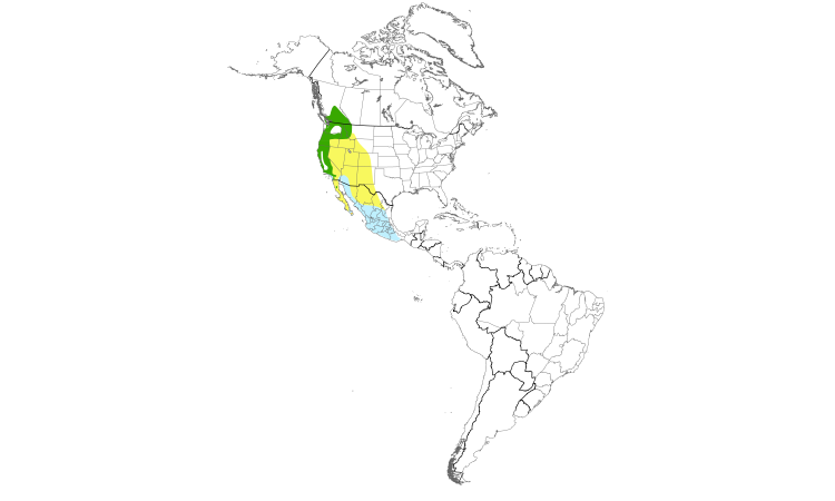 Range Map (Americas): Cassin's Vireo