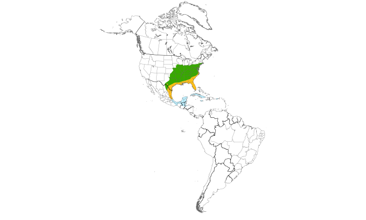 Range Map (Americas): White-eyed Vireo