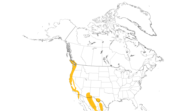 Range Map (North): Hutton's Vireo