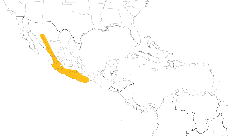 Range Map (Central): Golden Vireo