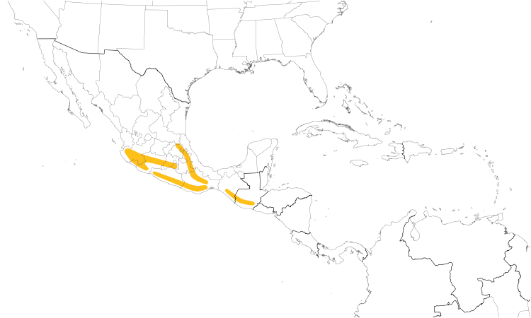 Range Map (Central): Chestnut-sided Shrike-Vireo