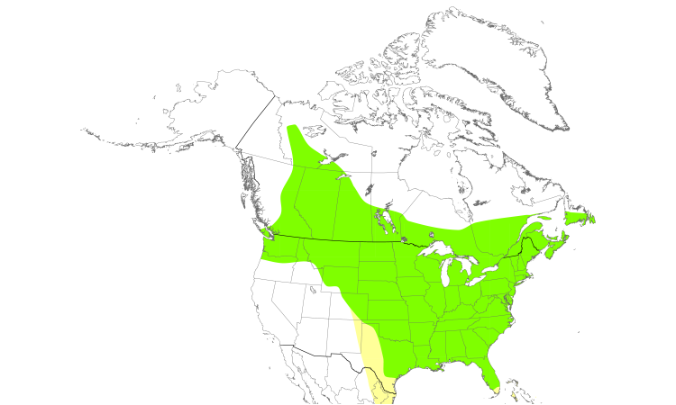 Range Map (North): Red-eyed Vireo