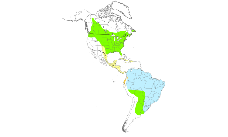 Range Map (Americas): Red-eyed Vireo