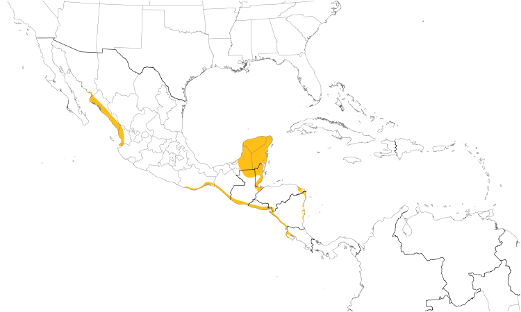 Range Map (Central): Mangrove Vireo