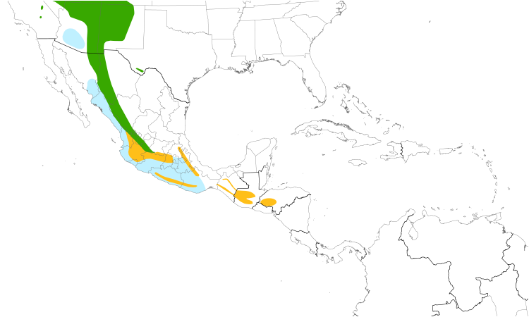 Range Map (Central): Plumbeous Vireo