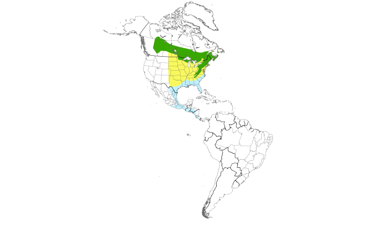 Range Map (Americas): Blue-headed Vireo
