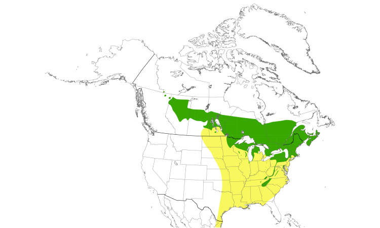 Carte de répartition  (North): Paruline du Canada