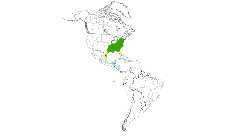 Range Map (Americas): Hooded Warbler