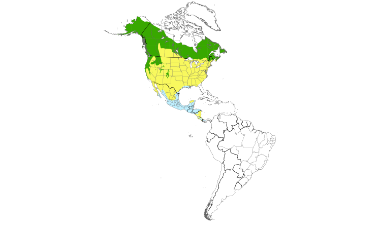 Range Map (Americas): Wilson's Warbler