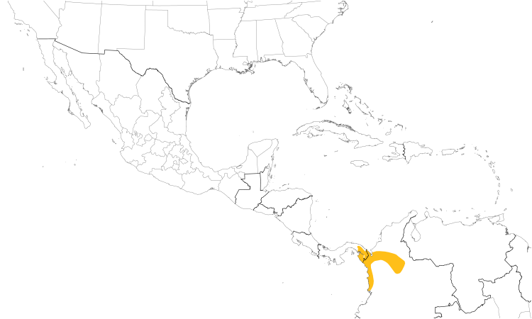 Range Map (Central): Double-banded Graytail