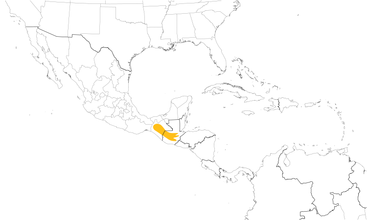 Range Map (Central): Belted Flycatcher