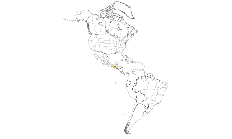 Range Map (Americas): Belted Flycatcher