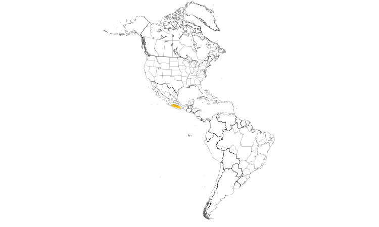 Range Map (Americas): Pileated Flycatcher