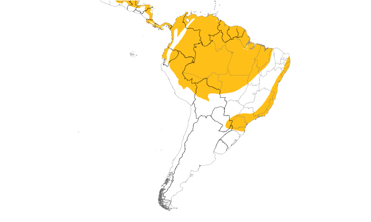 Range Map (South): Plain Xenops