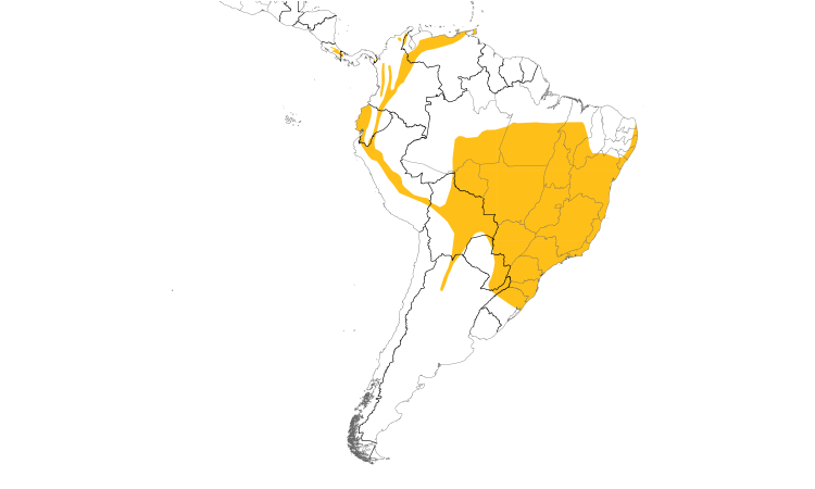 Range Map (South): Streaked Xenops